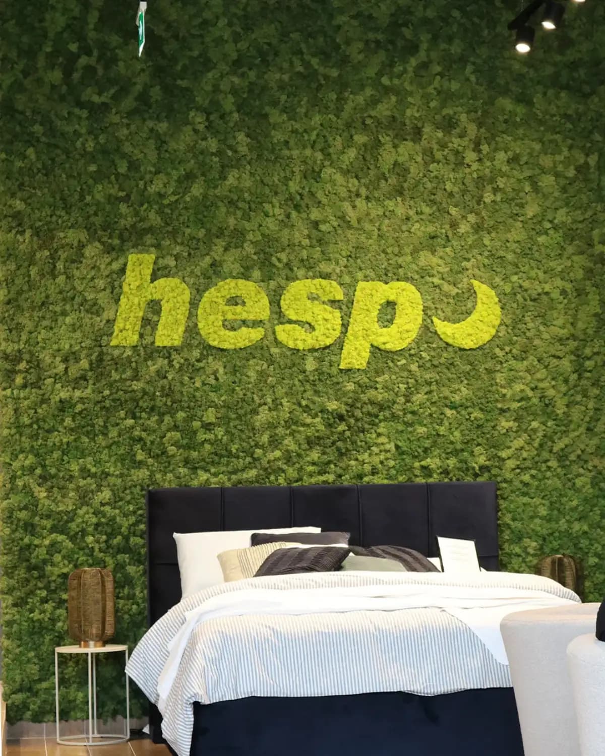 Zeleni zid od mahovine - Hespo