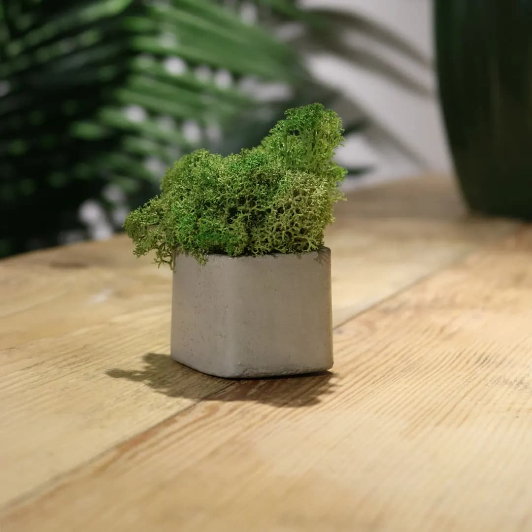 Cube - slika 3