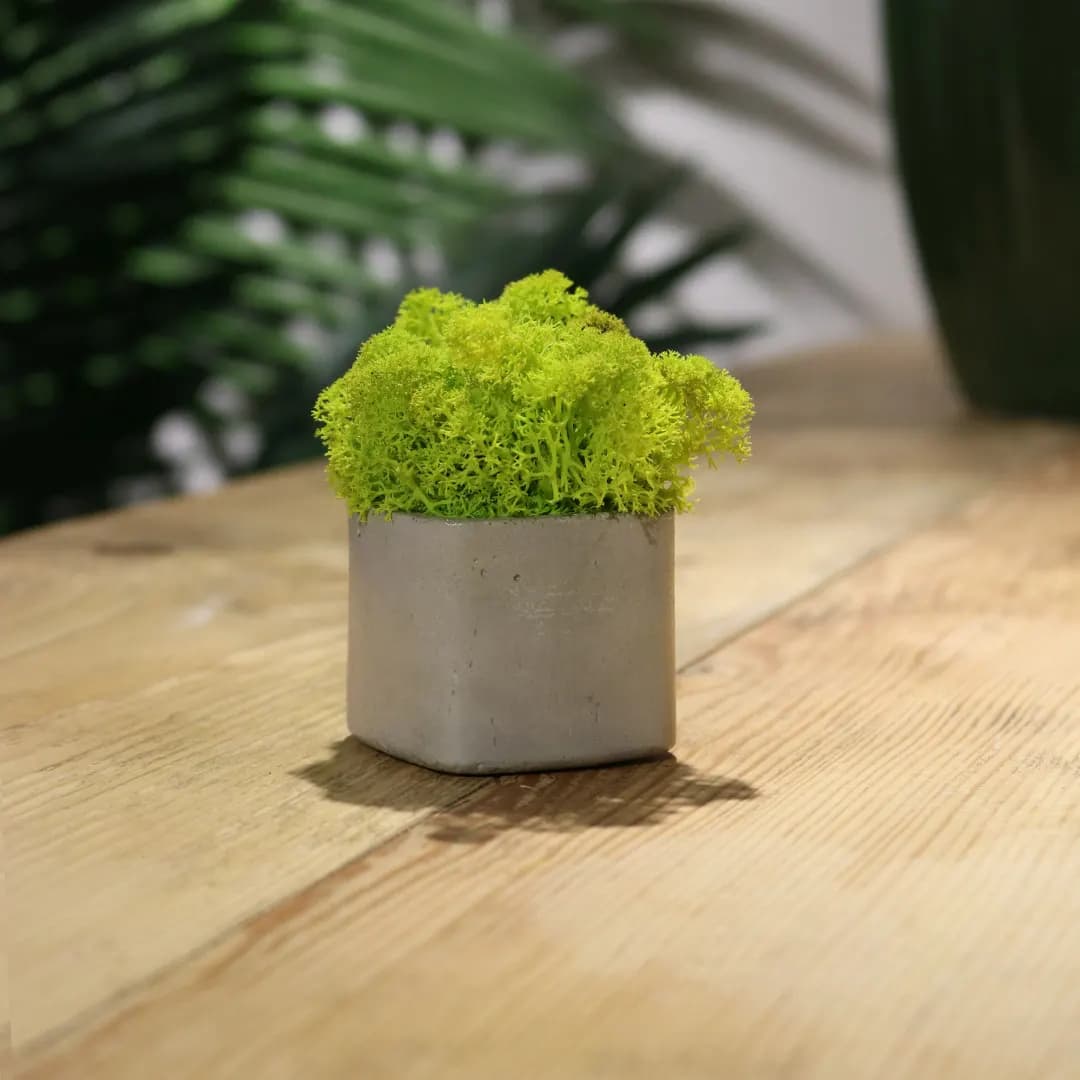 Cube - slika 4