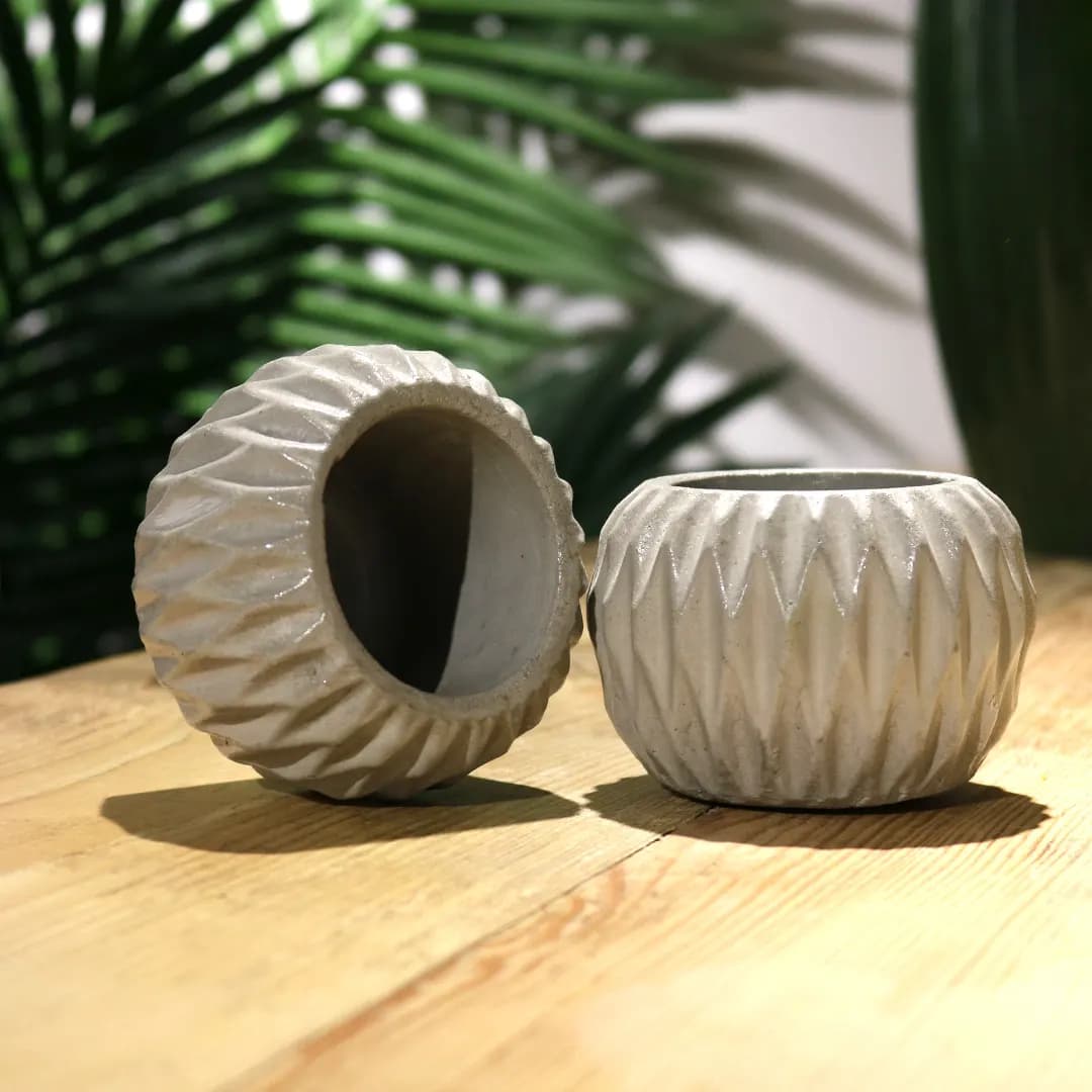 Damoss - slika 5