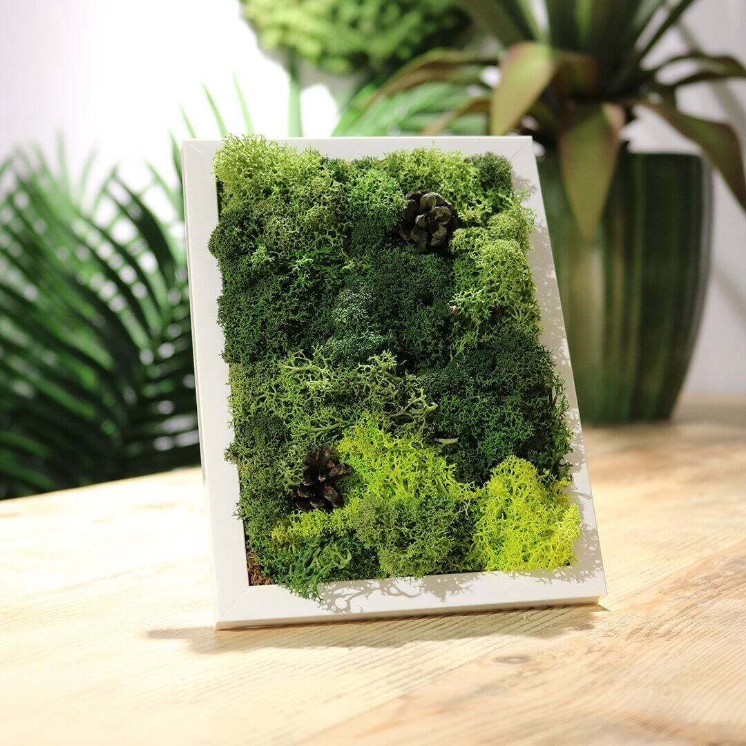 Island - slika 3