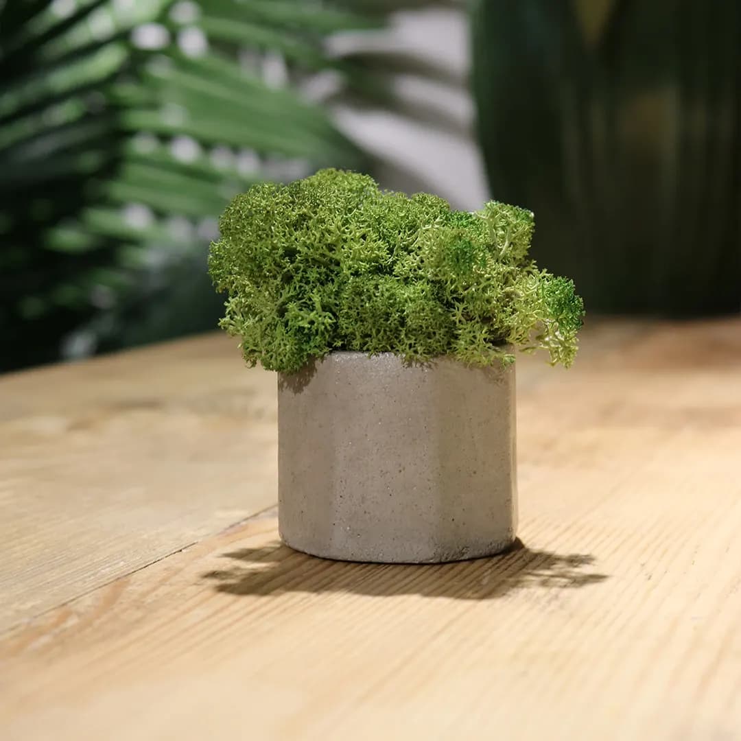 Mossaic - slika 2