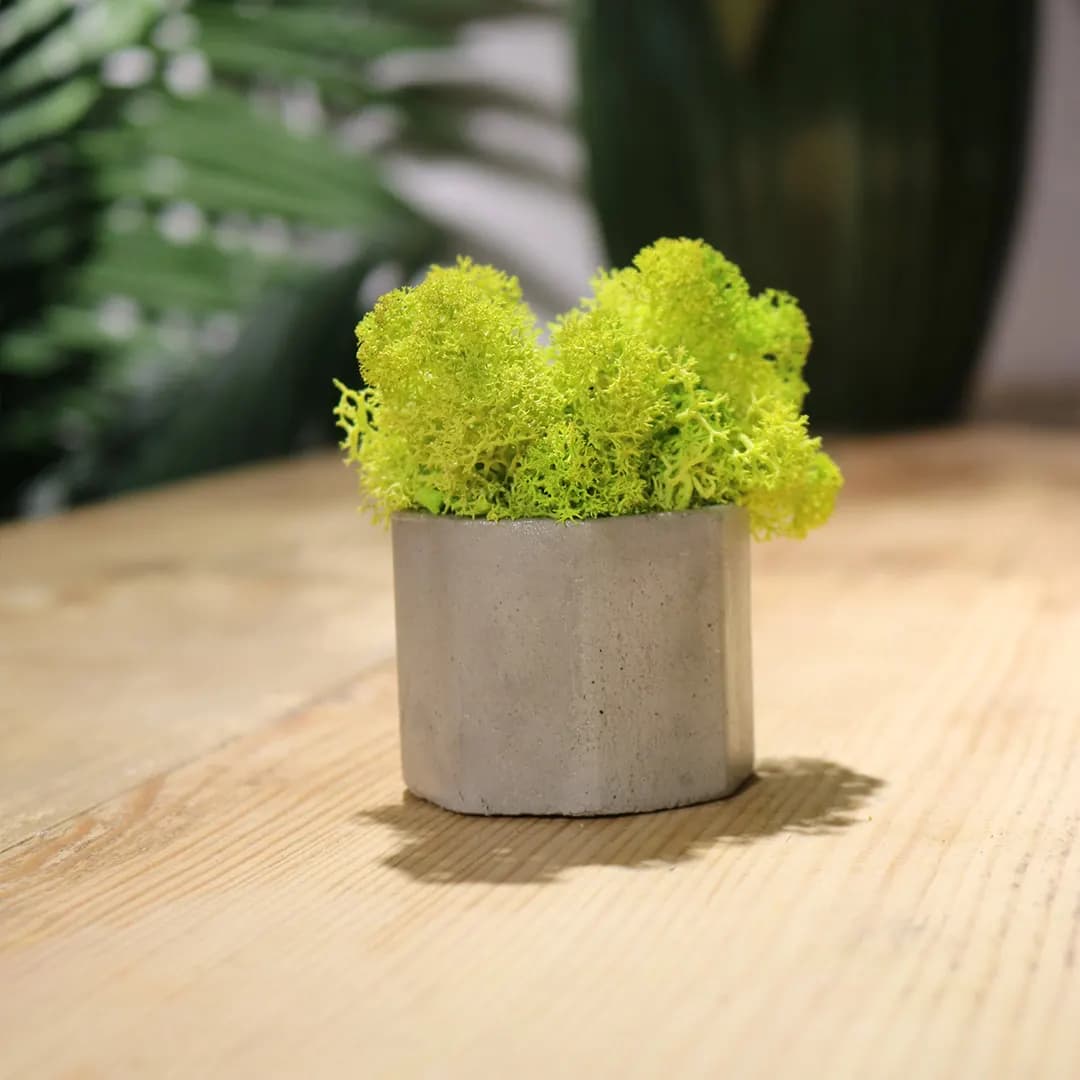 Mossaic - slika 4