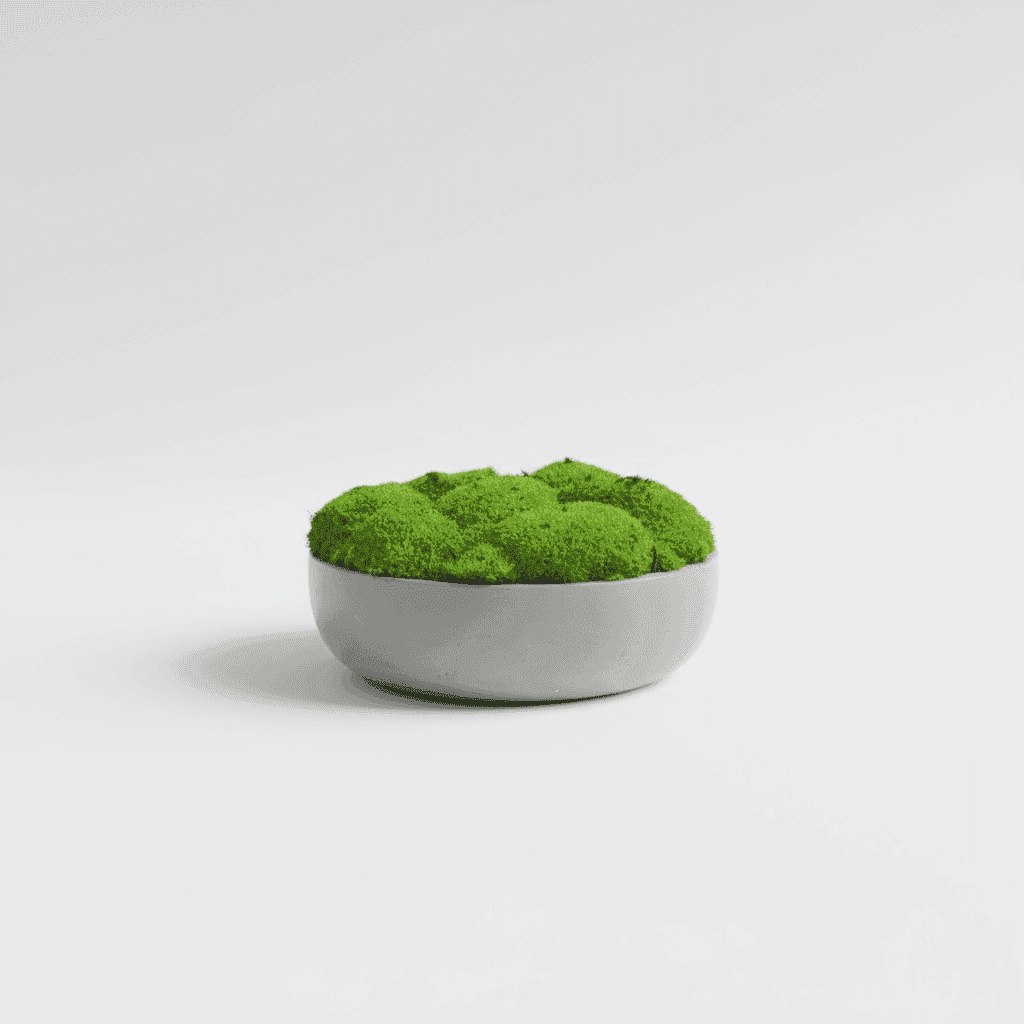 Bowl - slika 3
