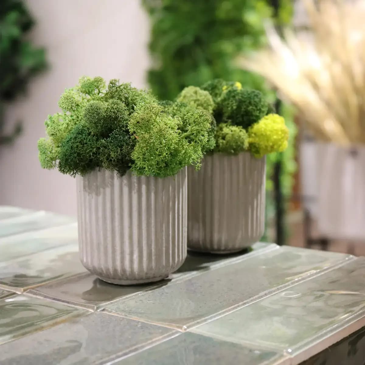 Moss Tower