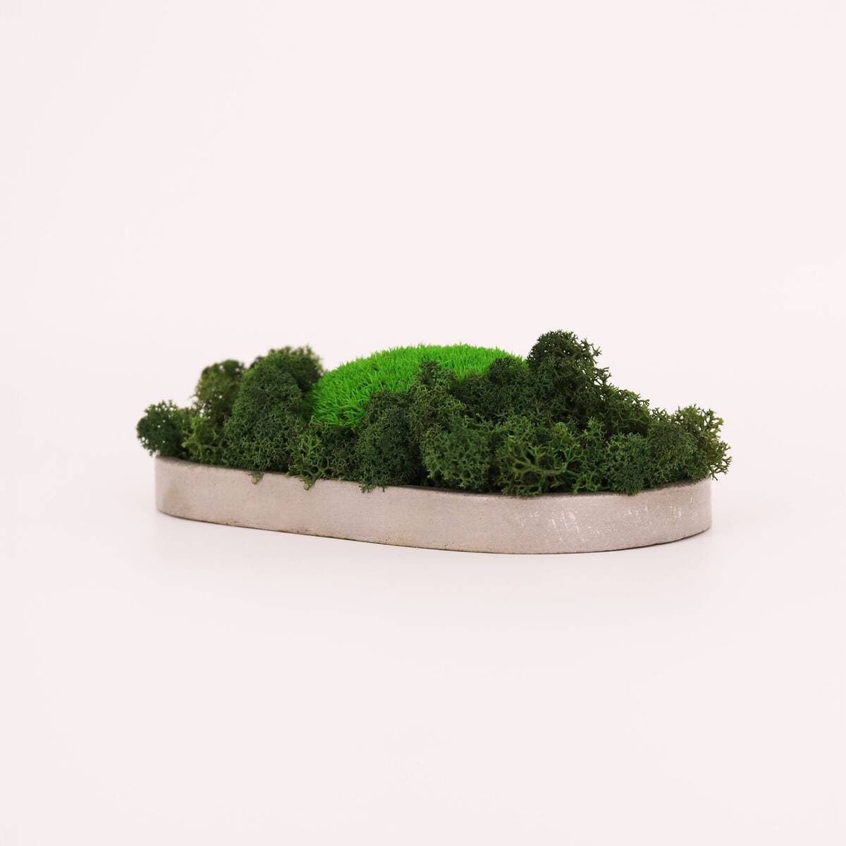 Mossplate