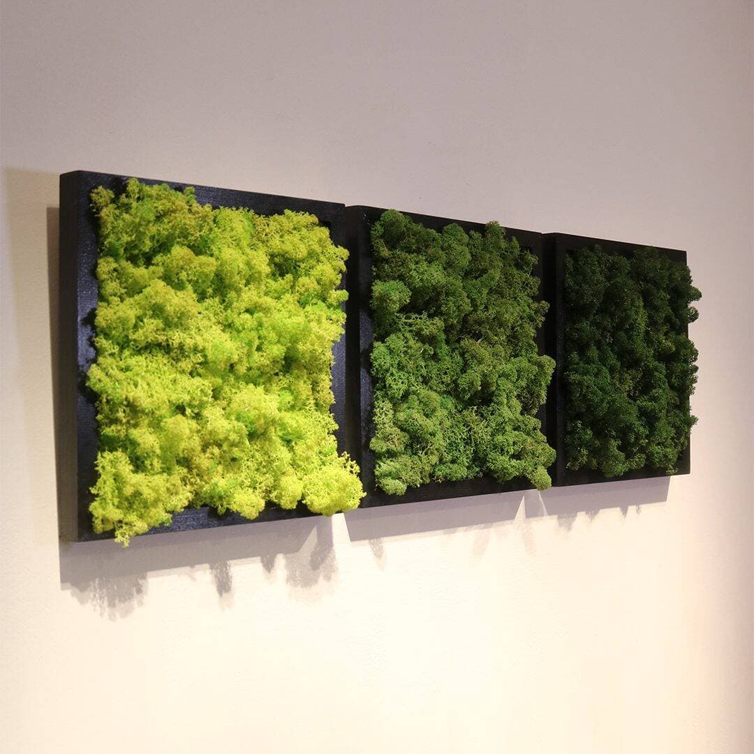 Square Trio