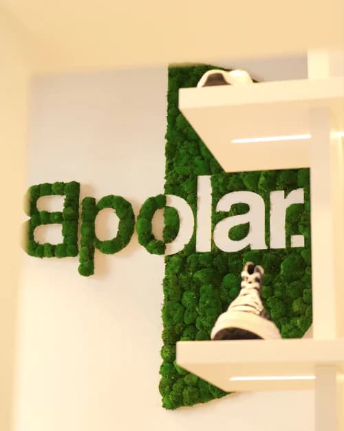 Zeleni zid - Bpolar