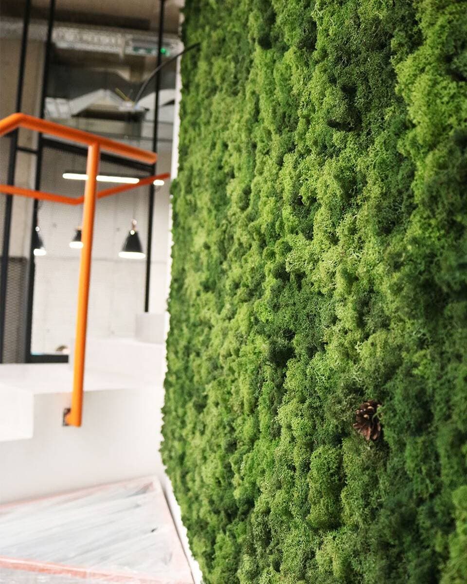 Akustika open-space kancelarije - kako mahovina smanjuje buku