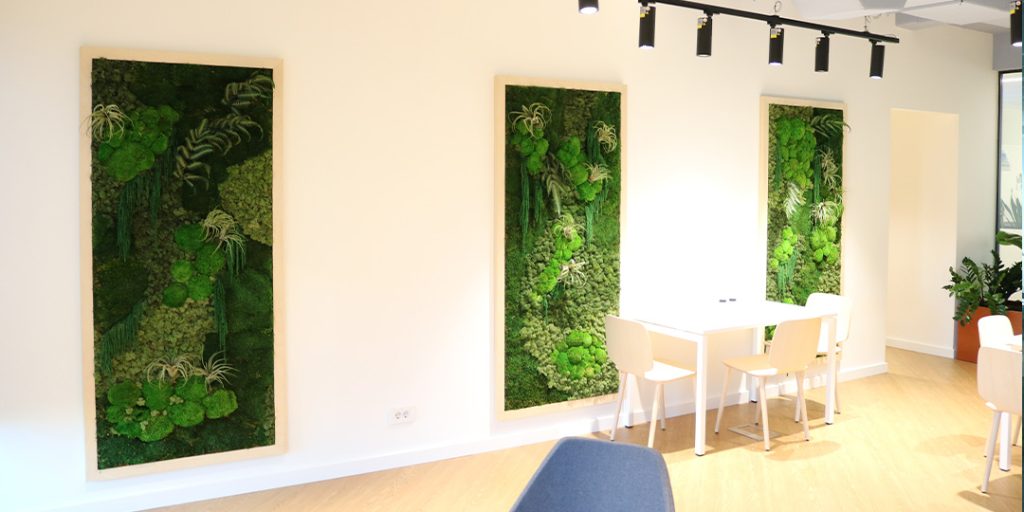 Na slici se nalaze 3 slike izrađene od mahovine u svetlom drvenom ramu. Slike su okačene na zidu. Pored slika, na slici se vidi i sto, stolice, fotelja, kao i biljke udesnom ćošku.