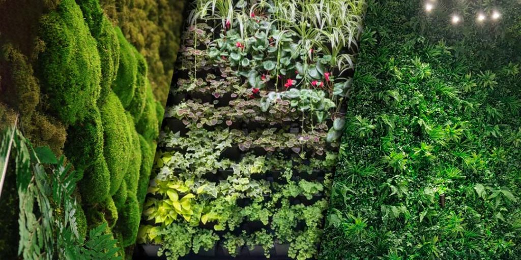 Na slici se nalaze tri vrste zelenog zida, sa leve na desnu stranu - zeleni zid od mahovine, kasetni zeleni zid i veštački zeleni zid.