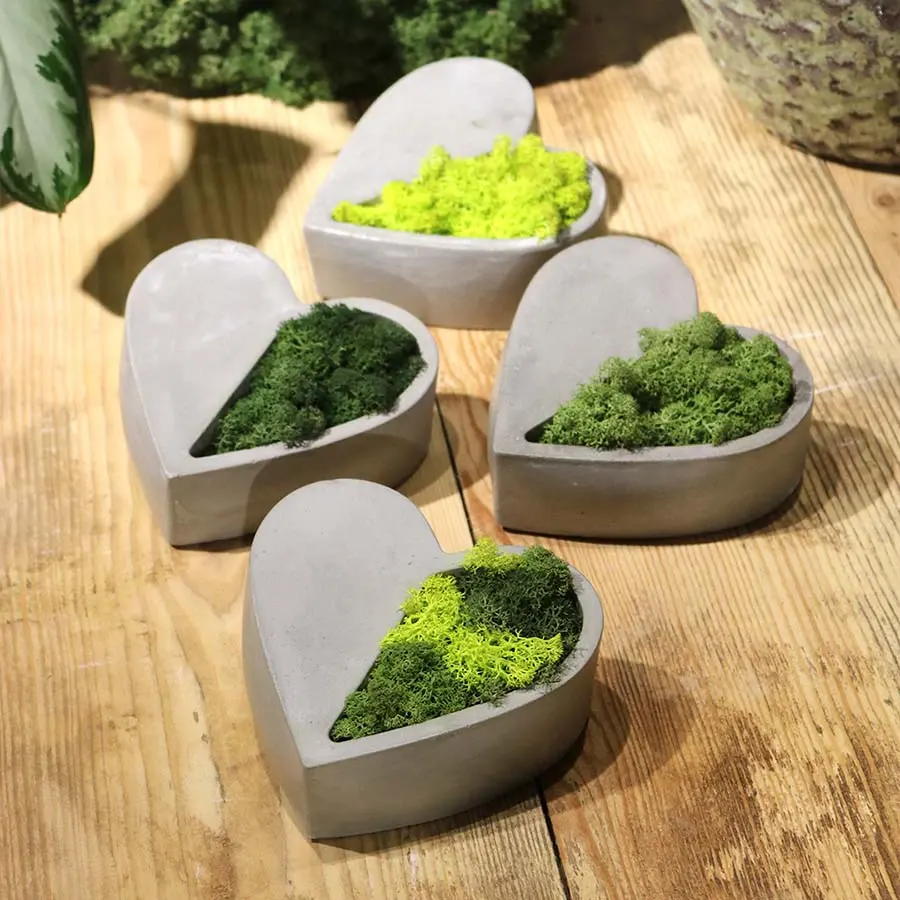 Heart