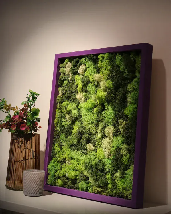 Mossart - moss art ram 91 1 batcheditor fotor